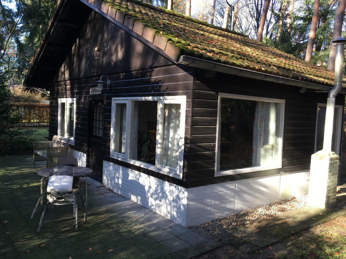 Kleine Op De Veluwe *